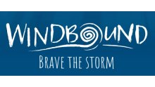 Windboud_logo