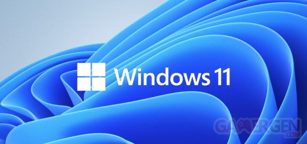 Windows 11 logo head banner