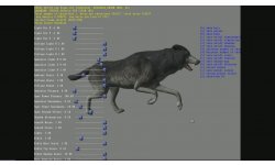 witcher 3 fur tech wolf old