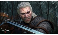 Witcher 3 Wild Hunt Potion Geralt