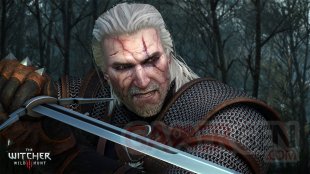 Witcher 3 Wild Hunt Potion Geralt
