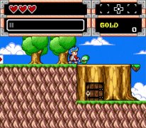 WonderBoy MonsterWorld 3