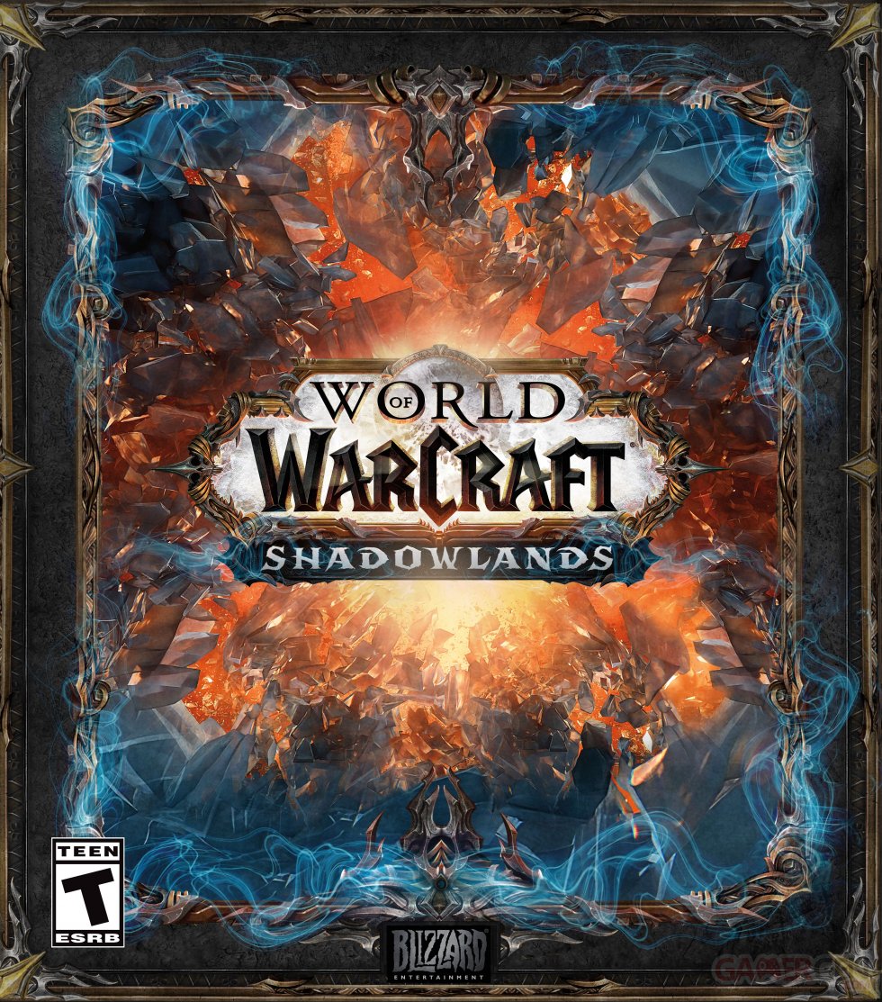 World Of Warcraft Shadowlands Edition Collector (8)