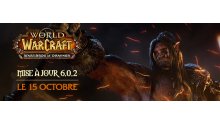 world-of-warcraft-vague-fer--maj