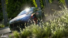 WRC-6_08-2016_screenshot (3)