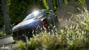 WRC 6 08 2016 screenshot (3)