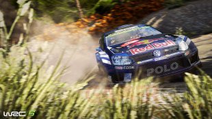 WRC 6 08 2016 screenshot (4)