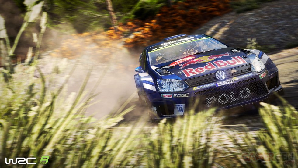 WRC-6_08-2016_screenshot (4)