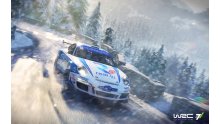 WRC-7-Porsche_04-08-2017_screenshot (1)