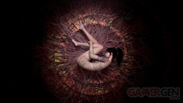 WUCHANG Fallen Feathers image