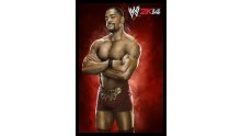 WWE 2K14 artwork roster Superstars divas 25.09 (22)