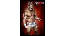 WWE 2K14 artwork roster Superstars divas 25.09 (25)