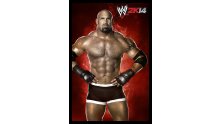 WWE 2K14 artwork roster Superstars divas 25.09 (29)