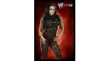WWE 2K14 artwork roster Superstars divas 25.09 (2)