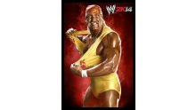 WWE 2K14 artwork roster Superstars divas 25.09 (31)