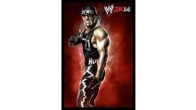 WWE 2K14 artwork roster Superstars divas 25.09 (32)