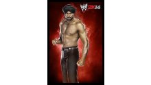 WWE 2K14 artwork roster Superstars divas 25.09 (35)