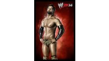 WWE 2K14 artwork roster Superstars divas 25.09 (38)