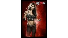 WWE 2K14 artwork roster Superstars divas 25.09 (39)