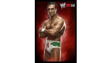WWE 2K14 artwork roster Superstars divas 25.09 (3)