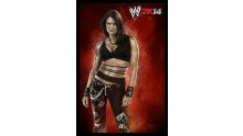 WWE 2K14 artwork roster Superstars divas 25.09 (45)