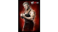 WWE 2K14 artwork roster Superstars divas 25.09 (48)