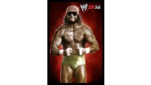 WWE 2K14 artwork roster Superstars divas 25.09 (50)