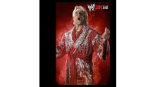WWE 2K14 artwork roster Superstars divas 25.09 (55)