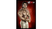 WWE 2K14 artwork roster Superstars divas 25.09 (56)
