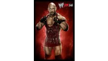 WWE 2K14 artwork roster Superstars divas 25.09 (58)