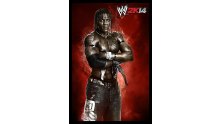 WWE 2K14 artwork roster Superstars divas 25.09 (59)