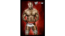 WWE 2K14 artwork roster Superstars divas 25.09 (5)