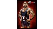 WWE 2K14 artwork roster Superstars divas 25.09 (60)