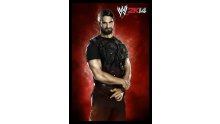 WWE 2K14 artwork roster Superstars divas 25.09 (61)