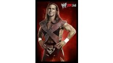 WWE 2K14 artwork roster Superstars divas 25.09 (63)