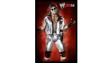 WWE 2K14 artwork roster Superstars divas 25.09 (64)