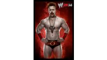WWE 2K14 artwork roster Superstars divas 25.09 (65)