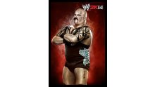 WWE 2K14 artwork roster Superstars divas 25.09 (70)