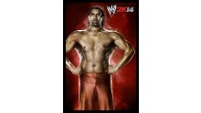 WWE 2K14 artwork roster Superstars divas 25.09 (72)