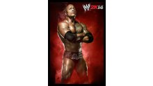 WWE 2K14 artwork roster Superstars divas 25.09 (74)