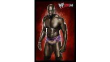 WWE 2K14 artwork roster Superstars divas 25.09 (75)