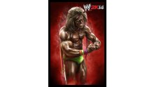WWE 2K14 artwork roster Superstars divas 25.09 (78)