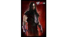 WWE 2K14 artwork roster Superstars divas 25.09 (81)