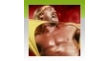 WWE 2K14 icone succes Hulkamania Runs Wild