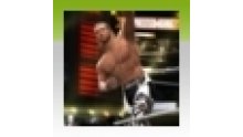 WWE 2K14 icone succes The Univers Era