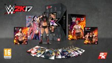 WWE-2K17_19-07-2016_NXT-Edition (1)