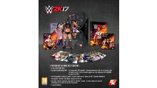 WWE-2K17_19-07-2016_NXT-Edition (2)