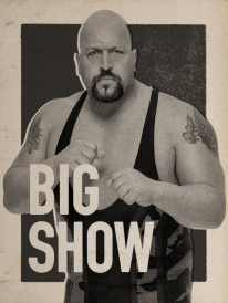 WWE 2K17 23 08 2016 poster (3)