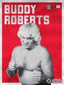 WWE 2K18 16 08 2017 poster (11)