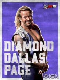 WWE 2K18 16 08 2017 poster (12)